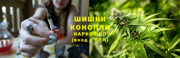 марки nbome Белокуриха