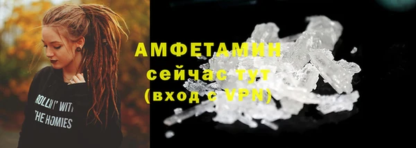 PSILOCYBIN Балабаново