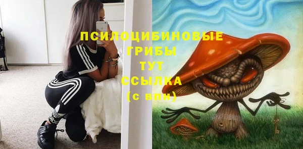 прущая мука Богородицк