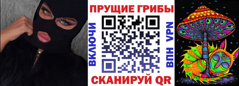 Псилоцибиновые грибы прущие грибы где можно купить KRAKEN вход Буйнакск